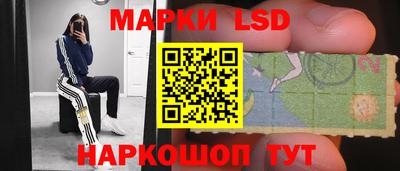 ПСИЛОЦИБИНОВЫЕ ГРИБЫ Тара