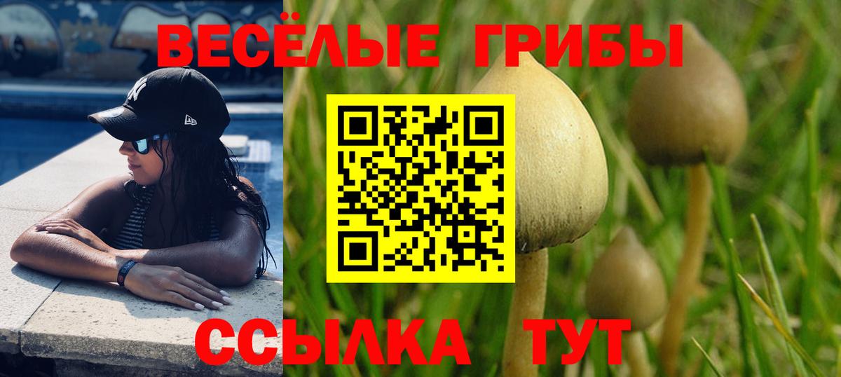 Валуйки  Галлюциногенные грибы Psilocybe  Вход с VPN  Псилоцибиновые грибы прущие грибы 
