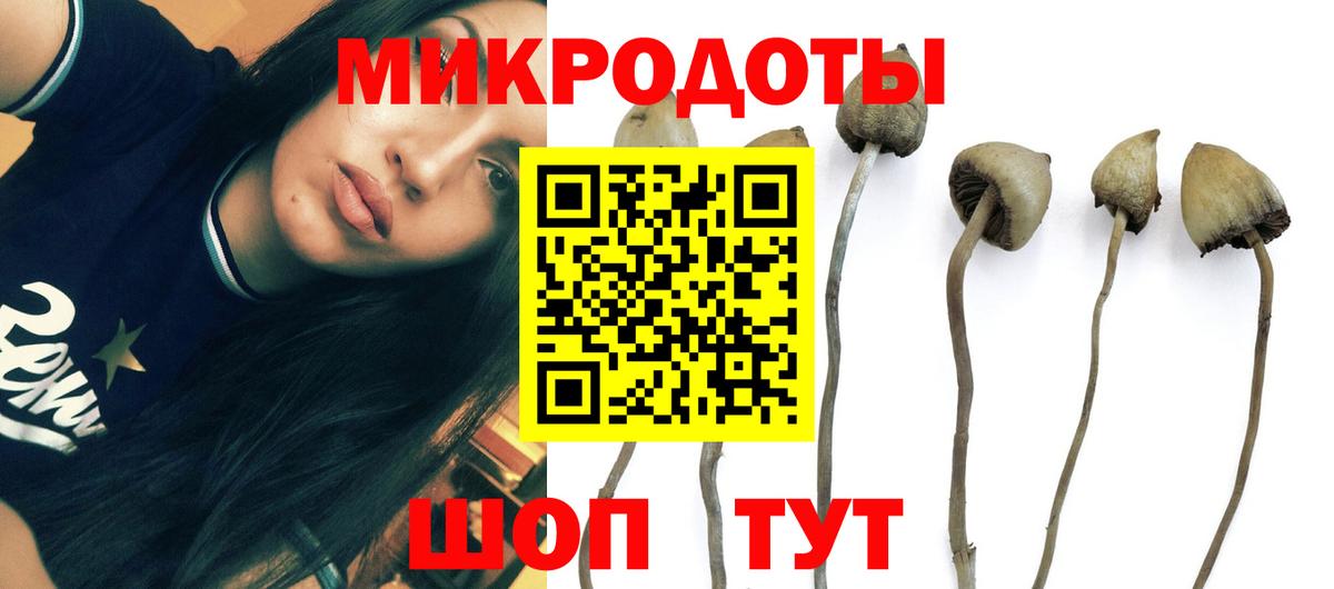 Галлюциногенные грибы прущие грибы  Псилоцибиновые грибы ЛСД  Валуйки 